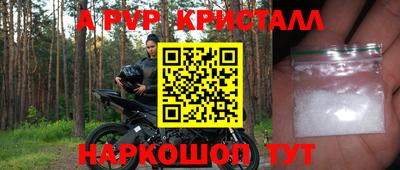 стаф Заводоуковск